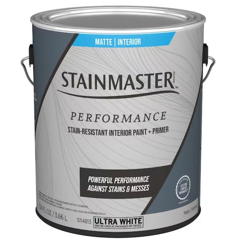Stainmaster paint in 1-gallon can