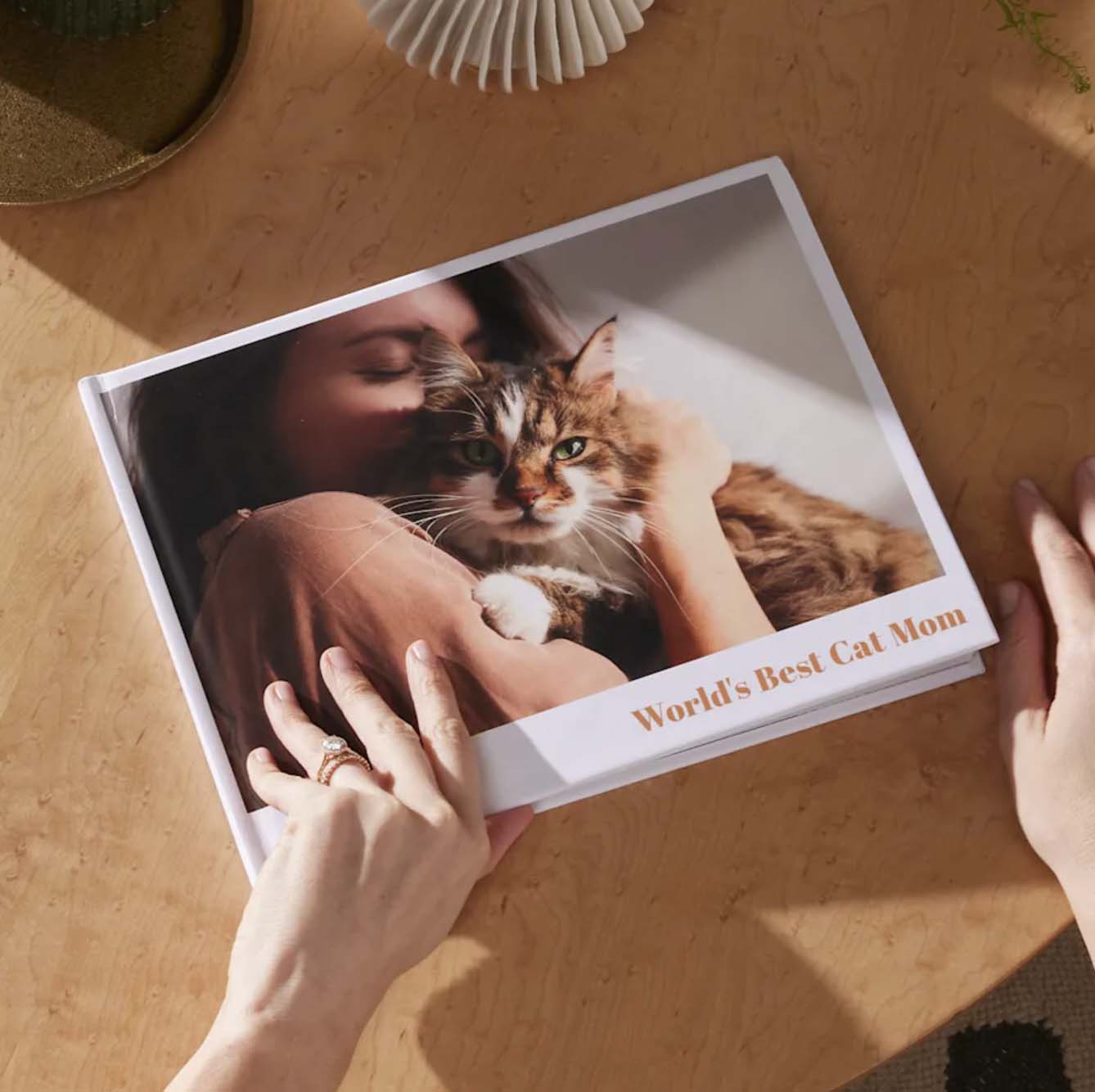 Hands touching a photobook with image of a woman and cat on the cover
