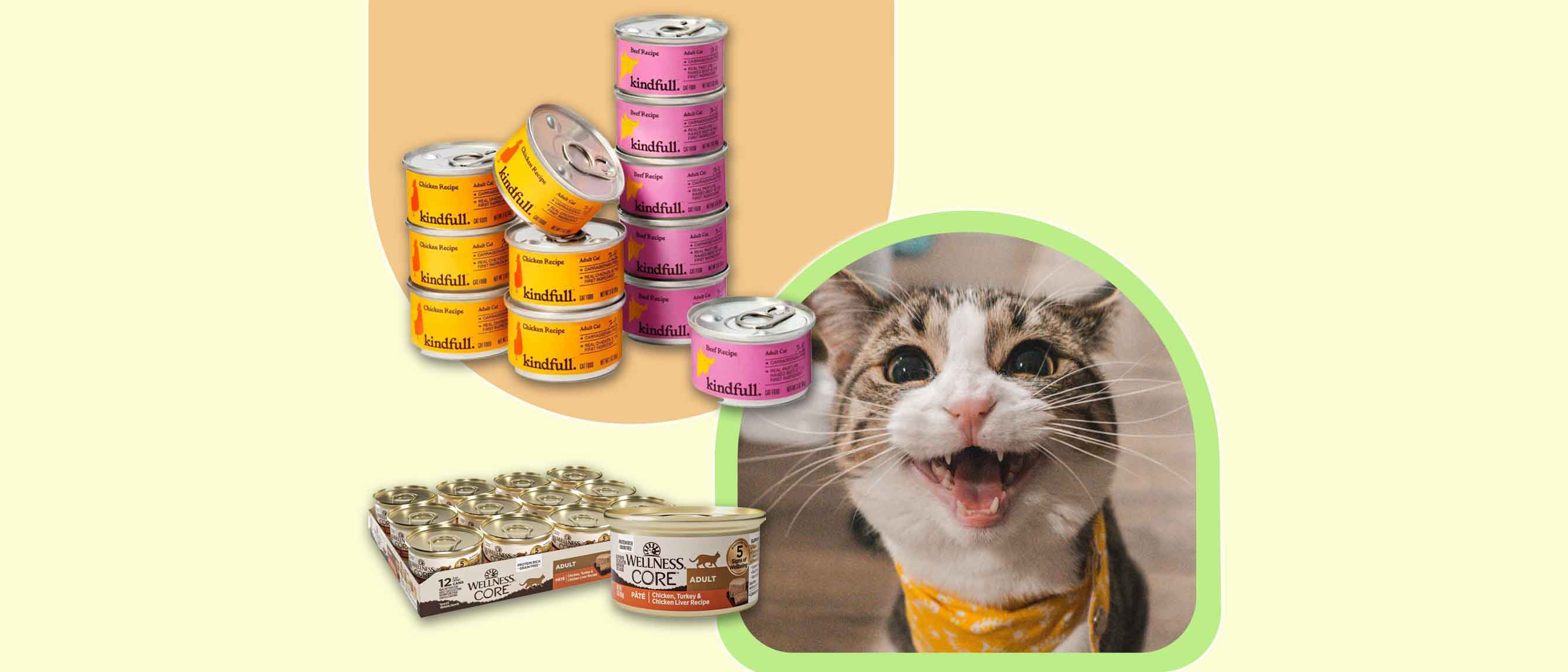 Image of two types of wet cat food and a cat