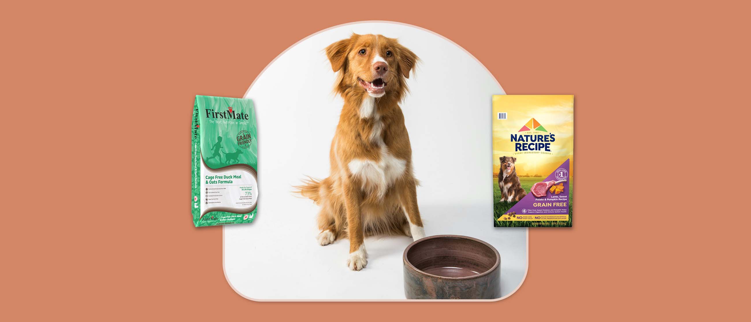 first mate and natures recipe dog food on terracotta background