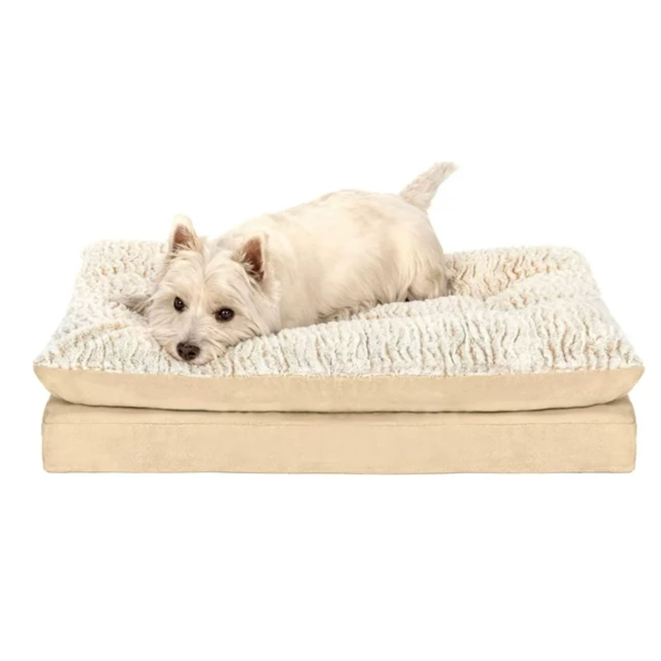 Dog sleeping on cream faux fur bed