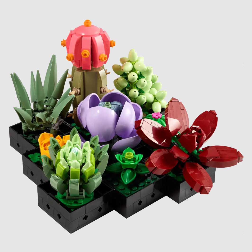Image of succulents built from LEGO