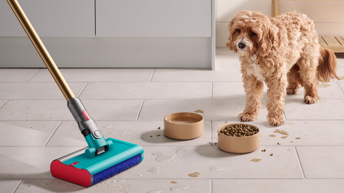 Dog watching mess being cleaned with Dyson vacuum