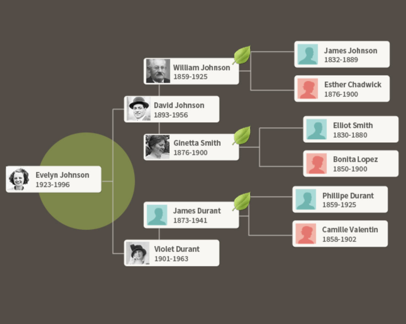 ancestry.com family tree graphic 