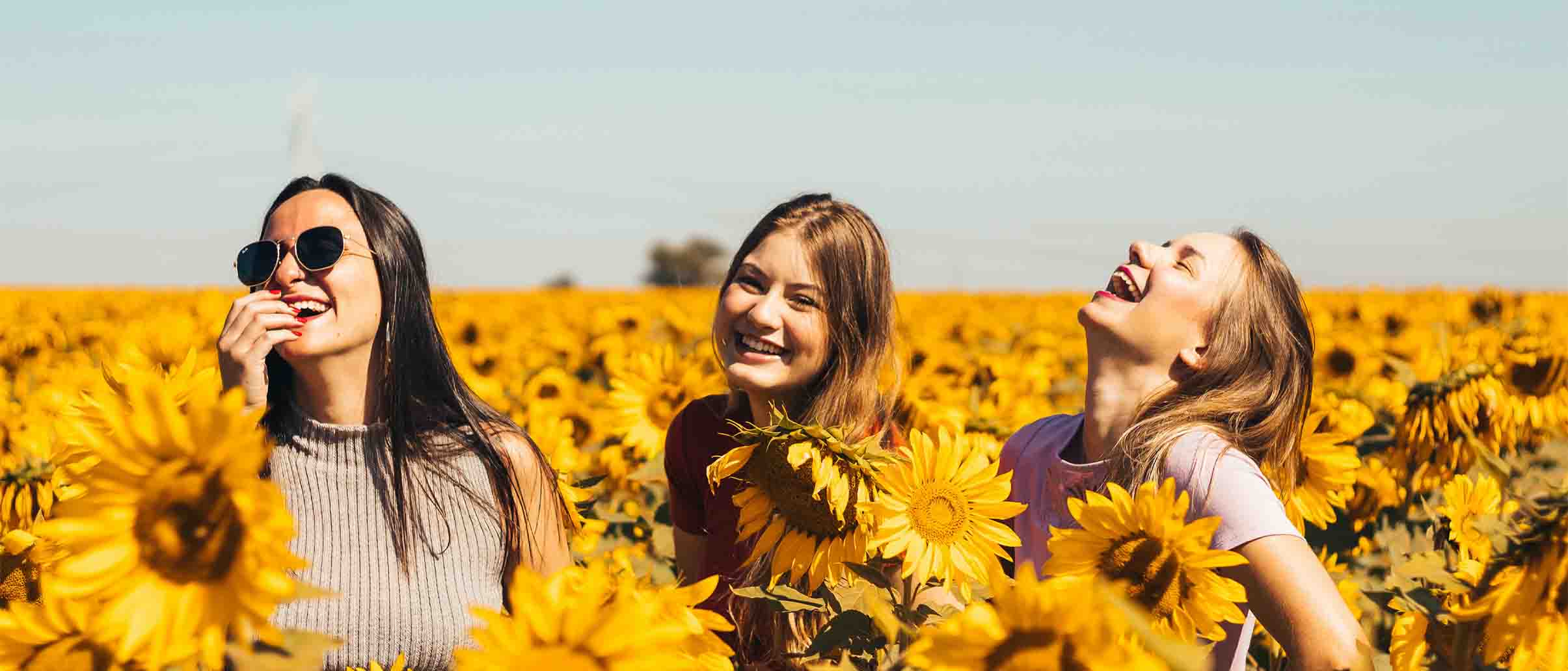 Three friends in sunflower field
