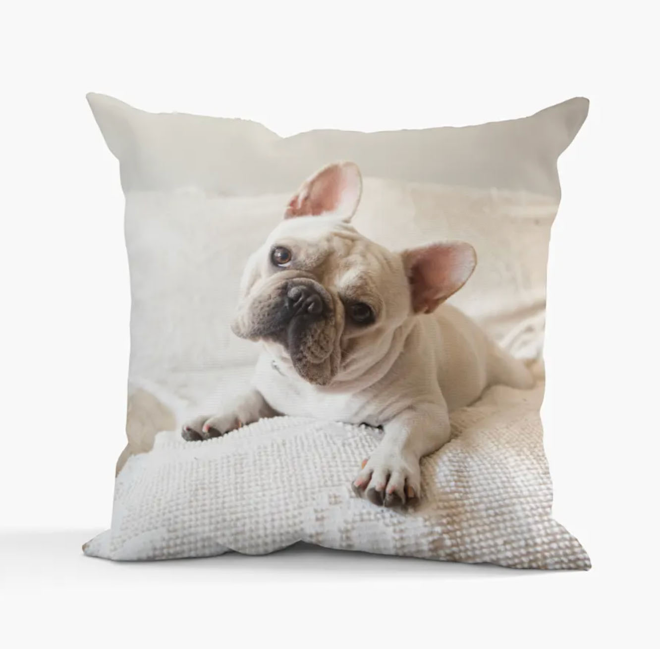 pillow cover with image of french bulldog printed 