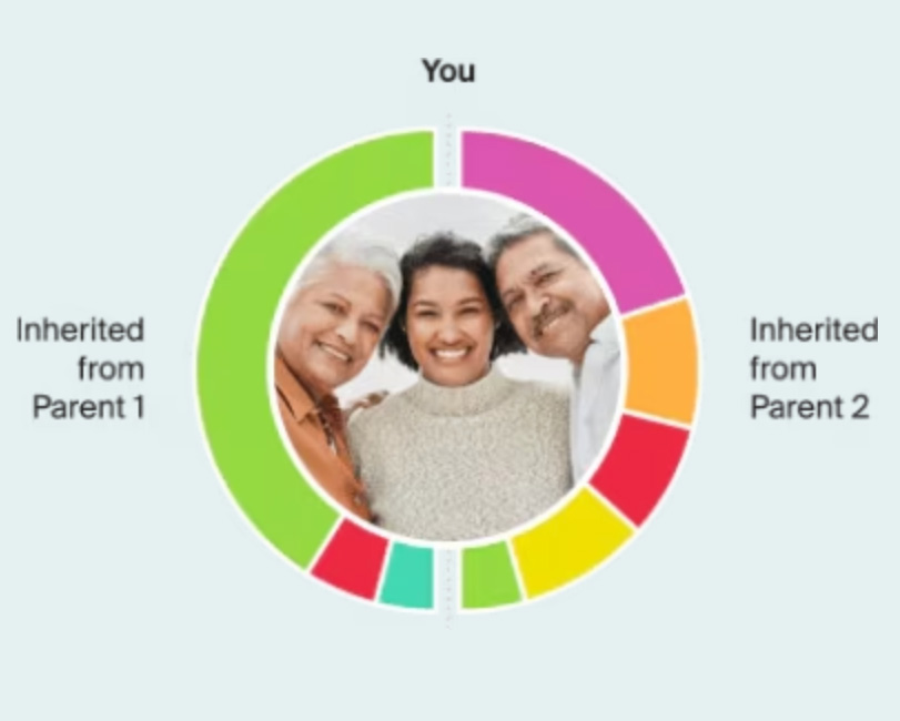traits pie chart parents graphic