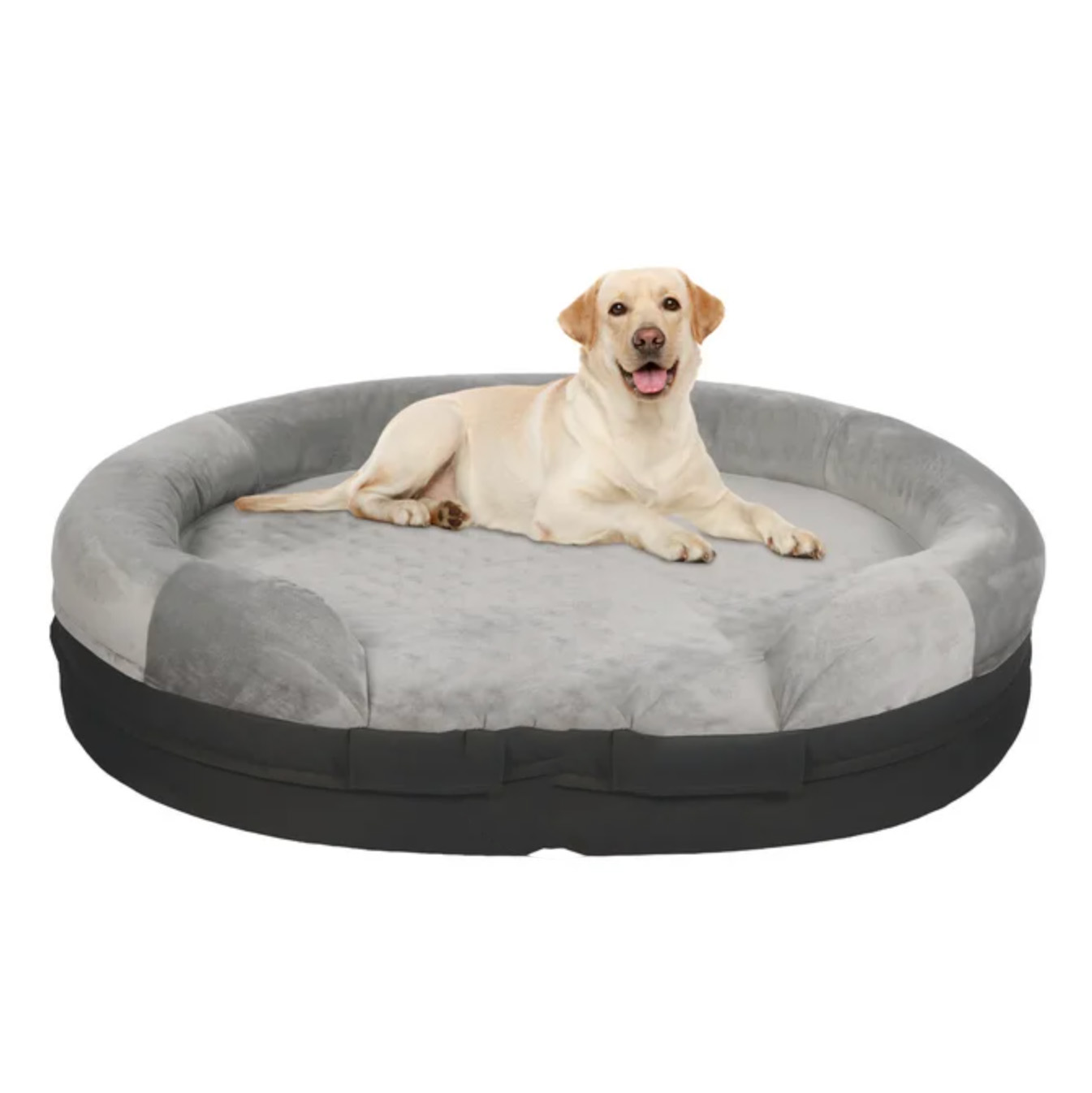 Dog sitting on grey round dog bed