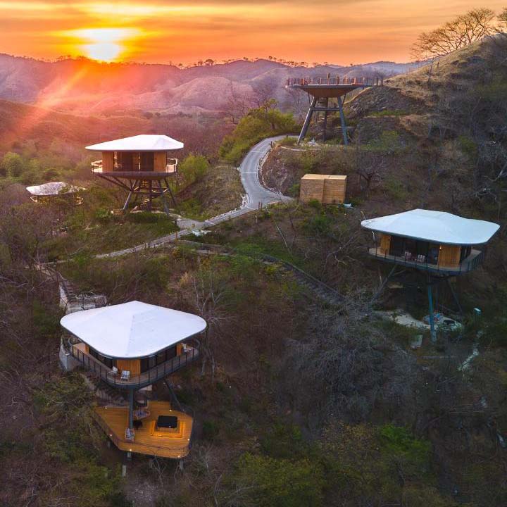 Sunset view of treetop hotel